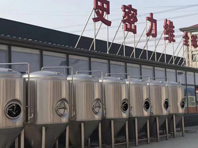 宁南精酿啤酒设备厂—市场规模与跨界新需求
